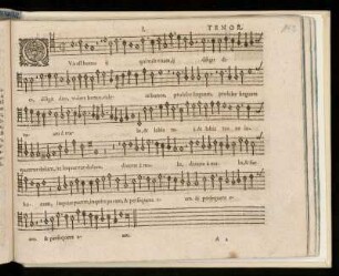 Quatuor vocibus