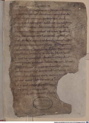 Iob, Tobias, Iudith, Hester - BSB Clm 6239