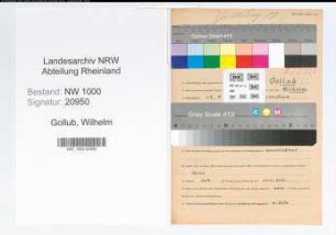 Entnazifizierung Wilhelm Gollub, geb. 12.04.1903 (Verw.Angest.)