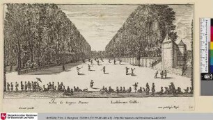 Jeu de longue Paume. Ludiferum Gallis
