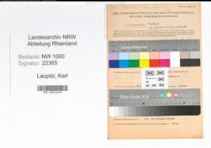 Entnazifizierung Karl Laupitz, geb. 30.10.1895 (Kaufm.Angest.)