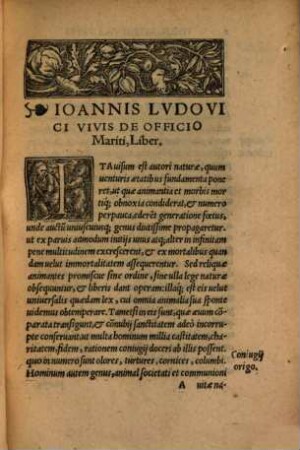 Ioannis Lodovici Vivis Valentini, De Officio Mariti, Liber doctissimus, lectuq[ue] utilissimus : Vna cum rerum ac uerborum diligentißimo Indice