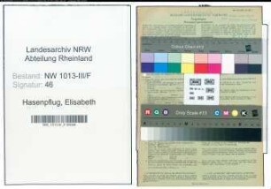 Entnazifizierung Elisabeth Hasenpflug , geb. 04.08.1890 (Buchhaendlerin)