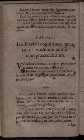 Cap. VIII. De speciali cognitione quantitatis vocalium consonam praecedentium