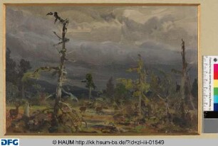 Wolkenstudie