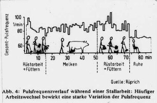 Pulsfrequenz während einer Stallarbeit: Häufiger Arbeitswechsel bewirkt eine starke Variation der Pulsfrequenz (nach Rüprich)