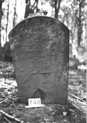 Grabstein 748 (Index: 99900399) Material: Sandstein Zustand: stark verwittert Maße HxBxT: 119x65x8 cm Beschreibung: Stele mit Segmentbogenabschluss: Grabstein 748