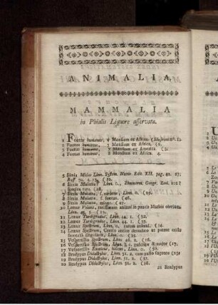 Animalia. Mammalia in Phialis Liquore asservata.
