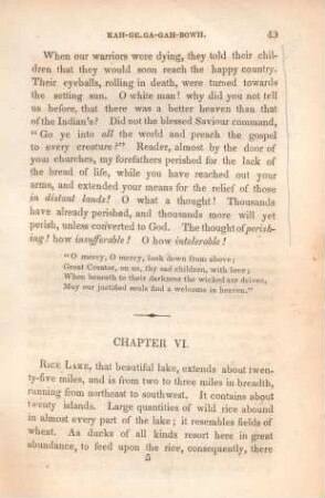 Chapter VI. [Description of Rice Lake; rice; fish; village, etc.]