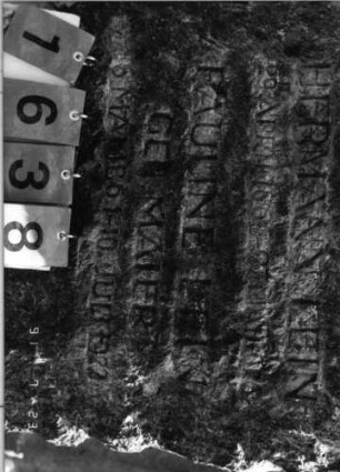 Grabstein 1638 [Hahn S. 132 Grab-Nr. 2305/06]: Grabstein 1638 (Detailaufnahme 2)[Hahn S. 132 Grab-Nr. 2305/06]