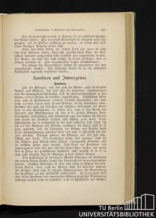 Koniferen und Immergrüne.