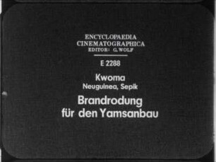 Kwoma (Neuguinea, Sepik) - Brandrodung für den Yamsanbau