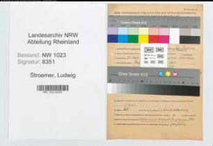 Entnazifizierung Ludwig Stroemer , geb. 12.09.1899 (Zollbeamter)