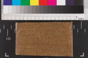 [Stammbuch Marx Philipp Besserer]