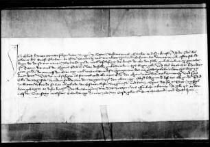 Eylind, Heinz Münchs sel. Tochter, Bürger zu Speyer, quittiert über 100 fl. Hauptgut.