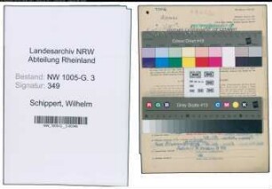 Entnazifizierung Wilhelm Schippert , geb. 24.02.1905 (Korrespondent)