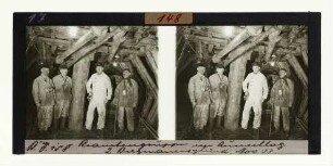 Beamtengruppe im Querschlag, Zeche Bergmannsglück, November 1933