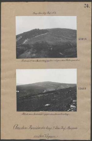 Blick vom Rabenbühl gegen den Immerlinskopf