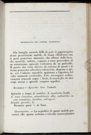 Monografia Del Genere Spirorbis.