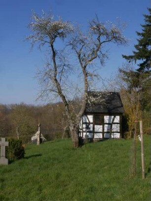Sorte: Wagenheims Frühzwetsche - Baum 164
