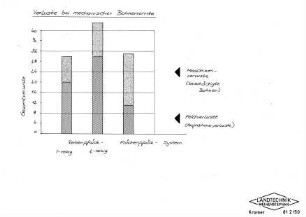 Verluste bei mechanischer Bohnenernte