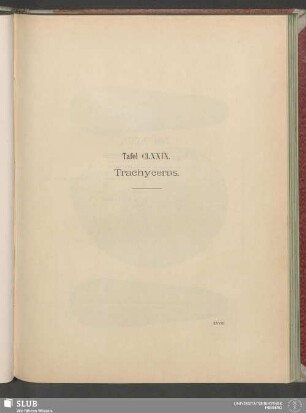Tafel CLXXIX. Trachyceras