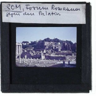 Rom, Forum Romanum,Rom, Palatin