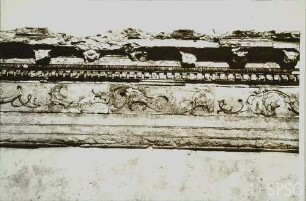 Berlin, Schloss Charlottenburg, Speisesaal (Weißer Saal), R. 362, Friesornamentik.