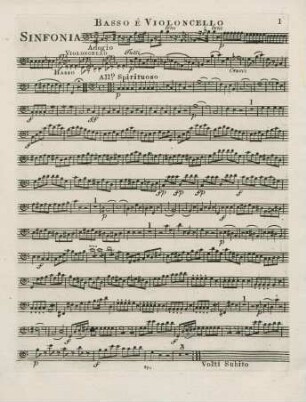 Basso e Violoncello