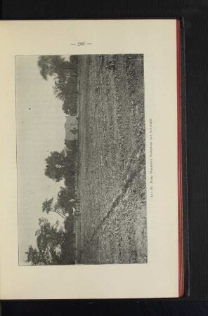 Abb. 59. Farm Warmbad. Wohnhaus und Ackerfeld.
