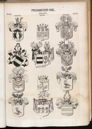 Taf. 155. Diebitsch. - Dickhoff. - Diederichs. - Diemar. - Diest. - Dieskau. - Dietrich. - Dietzenstein. - Diezielski. - Diezielski (and:). - Dincklage. - Ditfarth