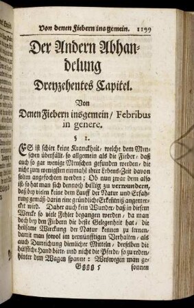 Dreyzehentes Capitel.