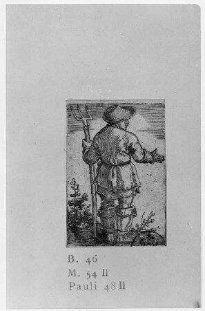 Der Bauer mit der Mistgabel