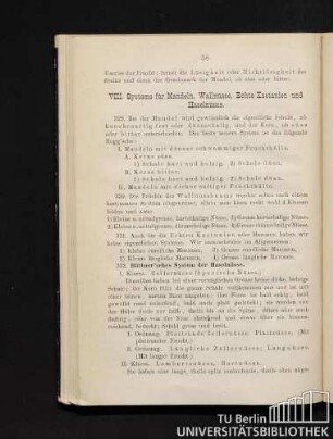 VIII. Systeme für die Mandeln, Wallnüsse, Echte Kastanien und Haselnüsse.