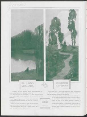 El lago esta azul [y] un camino olvidado : Dibujos de Alonso