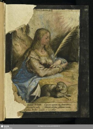 Gaudet Patientia ducis