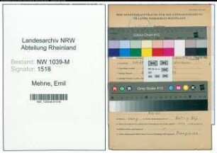 Entnazifizierung Emil Mehne , geb. 01.11.1906 ()