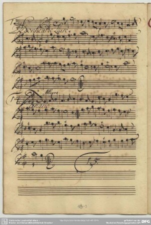 Anonymus, Canaries, G-Dur