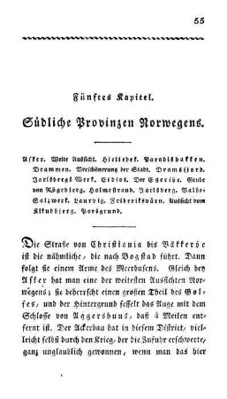 Fünftes Kapitel. Südliche Provinzen Norwegens