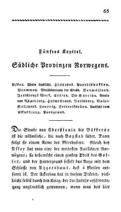 Fünftes Kapitel. Südliche Provinzen Norwegens