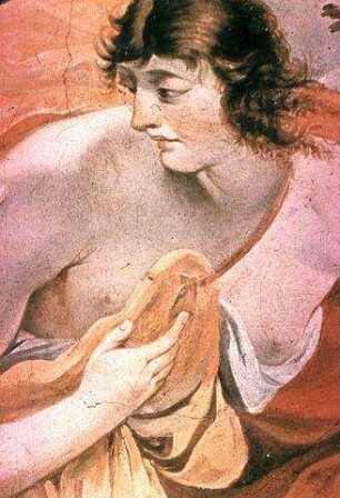 Venus und Adonis