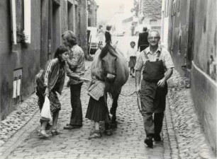Ländliches Leben in den Gassen von Riquewihr, Elsaß