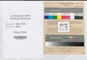 Entnazifizierung Peter Knipp, geb. 14.04.1919 (Laborant)