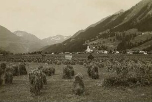 Lechtaler Alpen : Österreich. Lechtaler Alpen. Holzgau im Lechtal, Heuernte