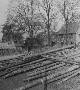Abrollen der Stämme auf dem Lagerplatz : Technikgeschichte | Technologie | Holzgewinnung und Bearbeitung