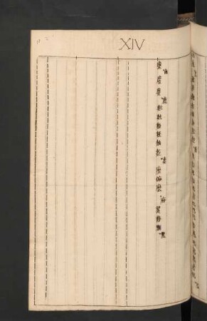 [Formatio literarum] XIV