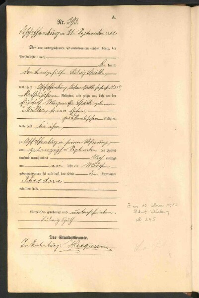 Standesamtsbuch der Stadt Aschaffenburg: Geburten 365/1900 - 184/1901