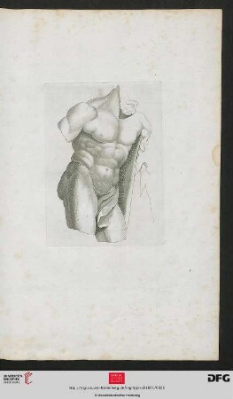 [Taf. 20] [männl. Torso (Schraffur)]