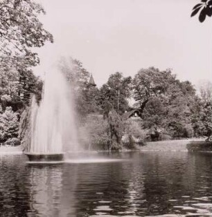 Springbrunnen am Carolateich