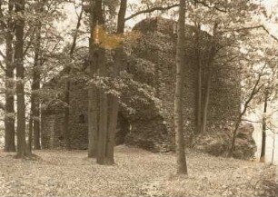 Ruine der Burg Kempe unterhalb von Niederstriegis. Nordwestansicht
